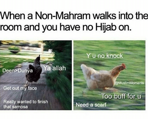 Funny Hijab Meme
